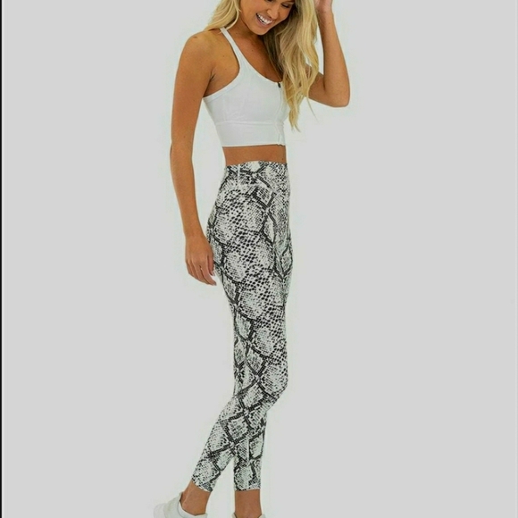 The Ascend Pant- Python - Picture 2 of 6